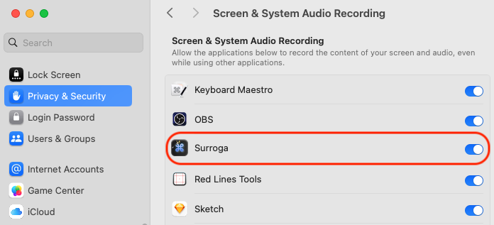Screen & System Audio Recording